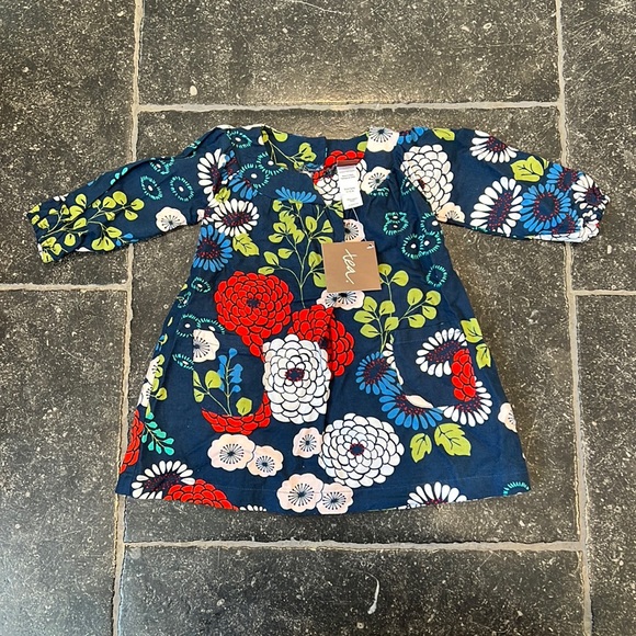 Baby Girl Tea Collection Dress - Picture 1 of 4